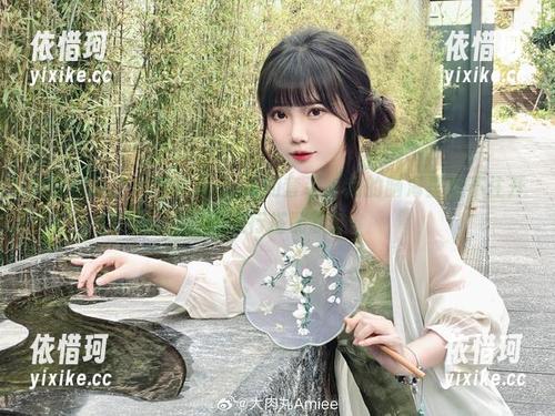 这些图片中大肉丸Amiee的套装，我的脑海里忍不住开始运行搭配软件